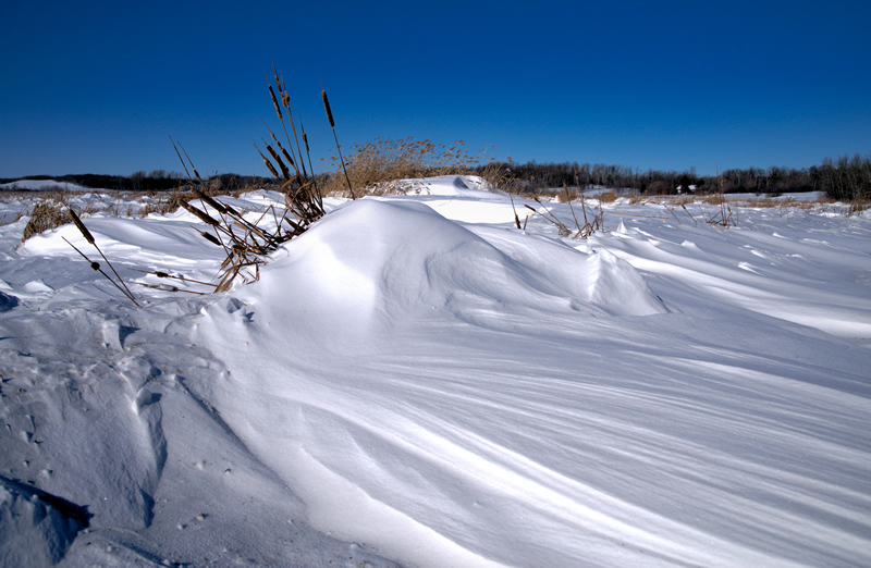 Snowdrift in Marsh by Joel Dupuis